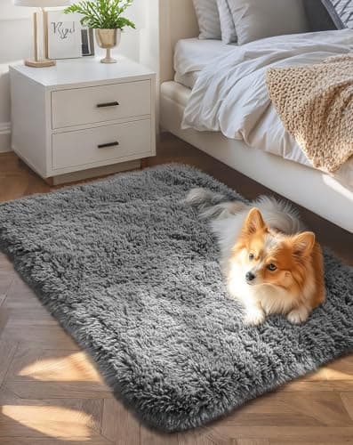 Ophanie Small Area Rug Throw Non Slip Rugs for Bedroom, Mini Fluffy Grey Carpet, Affordable Door Entryway Indoor Inside Front Entrance Dog 2x3 Mat, Home Decor Aesthetic, Nursery